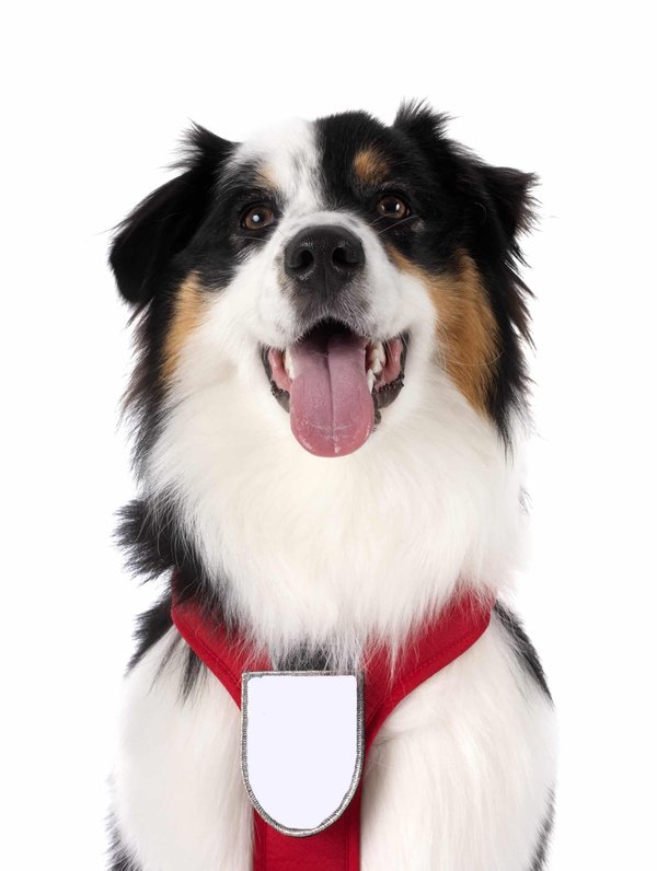 Les savons sur mesure pour les hôtels : une touche personnelle pour fidéliser la clientèle