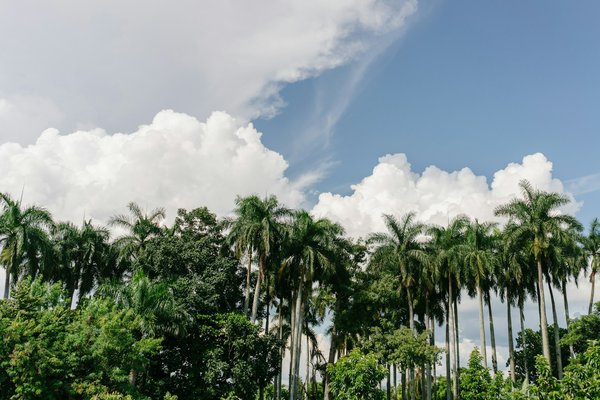 Voyage à cuba : les meilleurs sites à visiter